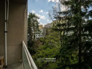 Prodej bytu 1+1, Brno - Veveří, Mášova, 30 m2