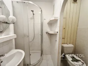 Pronájem bytu 1+kk, Praha - Michle, Podle Kačerova, 28 m2