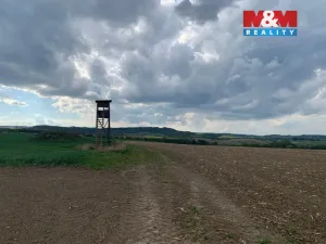 Prodej pole, Voděrady, 9520 m2