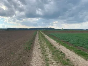 Prodej pole, Voděrady, 9520 m2
