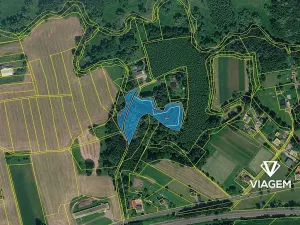 Prodej podílu lesa, Petrovice u Karviné, 2317 m2
