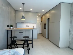Pronájem bytu 1+kk, Praha - Záběhlice, Narcisová, 24 m2