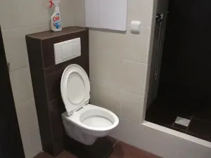 Pronájem bytu 2+kk, Teplice, Palackého, 36 m2