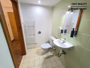 Pronájem bytu 1+1, Ústí nad Labem, Emy Destinové, 37 m2