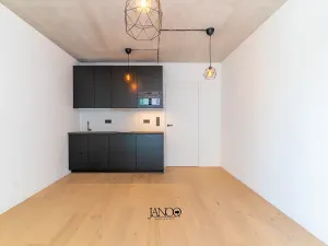 Pronájem bytu 1+kk, Brno, Bratislavská, 28 m2