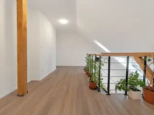 Prodej bytu 1+kk, Praha - Karlín, Peckova, 77 m2