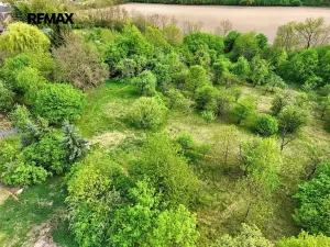 Prodej zemědělské usedlosti, Týnec nad Labem, 236 m2