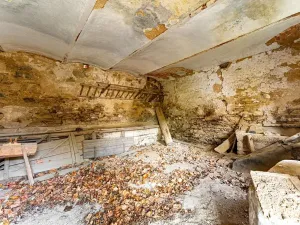 Prodej zemědělské usedlosti, Loket, 80 m2