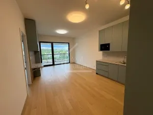 Pronájem bytu 2+kk, Praha - Holešovice, Jankovcova, 69 m2