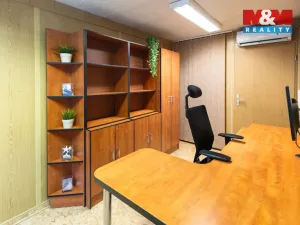 Pronájem výrobních prostor, Dnešice, 694 m2