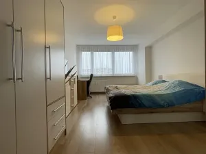 Pronájem bytu 2+1, Mladá Boleslav, Purkyňova, 64 m2