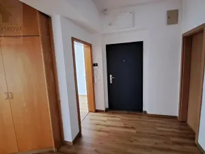 Pronájem bytu 3+kk, Ostrava, Hollarova, 85 m2