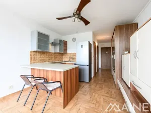 Pronájem bytu 2+kk, Plzeň, Klatovská, 40 m2