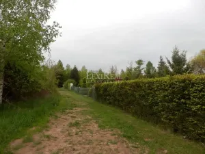 Prodej pozemku pro bydlení, Nový Jáchymov, Větrná, 800 m2