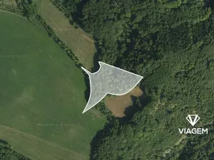 Prodej podílu lesa, Městečko Trnávka, 609 m2