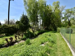 Prodej chalupy, Seč, 97 m2