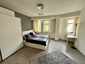 Prodej bytu 2+kk, Praha - Žižkov, Dalimilova, 52 m2