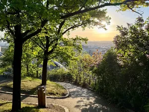 Prodej bytu 2+kk, Praha - Žižkov, Dalimilova, 52 m2
