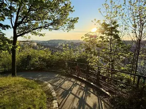 Prodej bytu 2+kk, Praha - Žižkov, Dalimilova, 52 m2