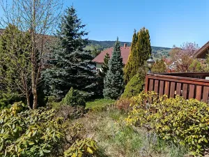 Prodej rodinného domu, Stachy, 200 m2
