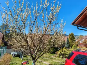 Prodej rodinného domu, Stachy, 200 m2