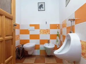 Prodej zemědělské usedlosti, Skomelno, 284 m2