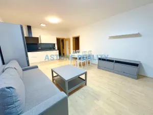 Pronájem bytu 2+kk, Praha - Karlín, U Mlýnského kanálu, 55 m2