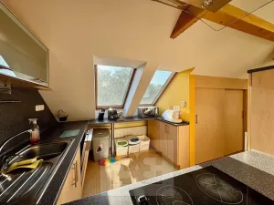 Pronájem bytu 3+kk, Velké Opatovice, Sokolská, 195 m2