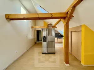Pronájem bytu 3+kk, Velké Opatovice, Sokolská, 195 m2