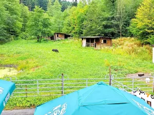 Pronájem komerční nemovitosti, Valašské Klobouky, 467 m2