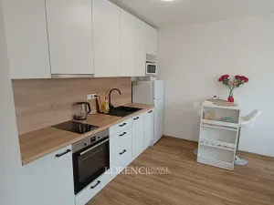 Pronájem bytu 1+kk, Hodonín, Žižkova, 23 m2
