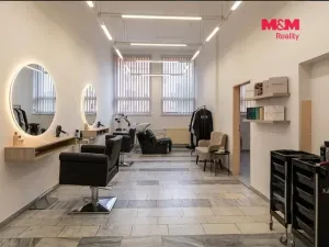 Prodej obchodního prostoru, Chomutov, Palackého, 159 m2