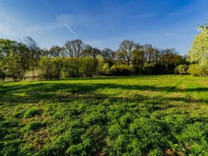 Prodej pozemku pro bydlení, Svojetín, 3831 m2