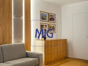 Pronájem bytu 1+kk, Brno, Bratislavská, 45 m2