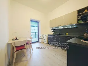 Pronájem bytu 1+1, České Budějovice, Fráni Šrámka, 40 m2