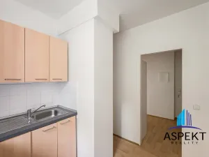 Pronájem bytu 1+1, Praha - Podolí, U podolského hřbitova, 30 m2