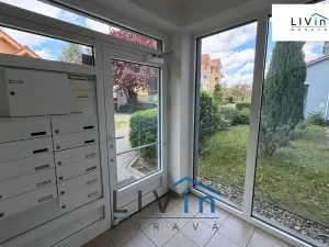 Pronájem bytu 2+1, Olomouc, Horní lán, 78 m2
