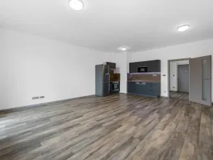 Pronájem bytu 2+kk, Plzeň - Severní Předměstí, Bolevecká, 58 m2