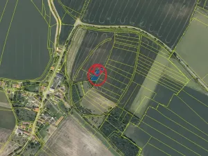 Prodej lesa, Plaňany, 1690 m2