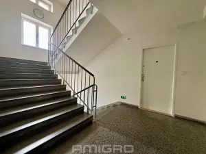 Prodej bytu 1+1, Brno, Merhautova, 48 m2