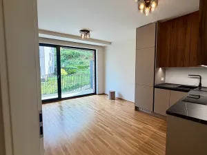 Pronájem bytu 2+kk, Praha - Smíchov, U Blaženky, 55 m2