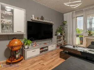 Prodej bytu 3+1, Orlová, Školní, 66 m2
