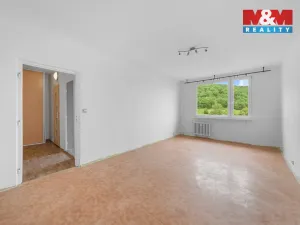 Pronájem bytu 1+1, Ústí nad Labem, Jizerská, 42 m2