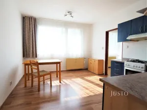 Pronájem bytu 1+1, Písek, Budovatelská, 38 m2