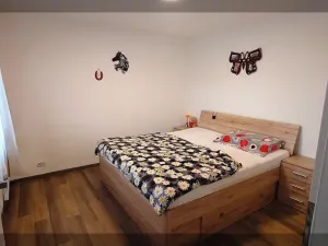 Pronájem bytu 2+kk, České Budějovice, Opatovická, 43 m2