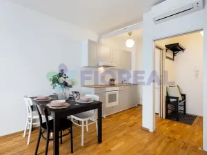 Prodej bytu 2+kk, Praha - Žižkov, Hartigova, 45 m2