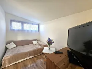 Pronájem chaty, Veltrusy, V Cihelnách, 21 m2
