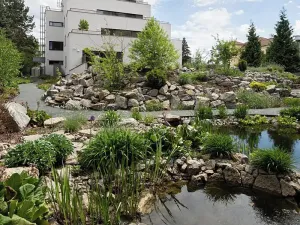 Pronájem bytu 4+kk, Brno, Lipová, 102 m2