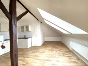 Pronájem bytu 1+kk, Brno, Řehořova, 31 m2