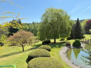 Pronájem vily, Nový Knín, 450 m2